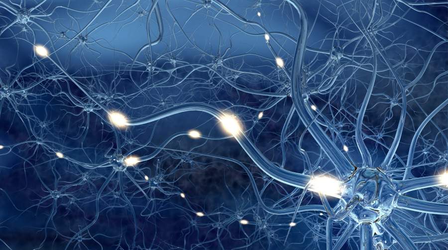 nervi, cellule nervose, stimoli cerebrali, stimoli, impulsi, cellule nervose, bagliore delle sinapsi, bagliore, bagliore, blu, oro, metallico, Neuroscienza, neurale, TRECs, Tecnica per la Riduzione degli Errori Critici, evitare lesioni, Riconoscere gli stati emotivi, influenza degli stati emotivi, impatto degli stati emotivi, impatto della condizione fisica, evitare errori non intenzionali, evitare errori critici, agire in sicurezza in tempo reale, prevenzione proattiva contro gli errori, fare sempre meno errori, principi della neuroscienza, sicurezza occupazionale e neuroscienza, SafeStart, SafeStart International, abitudini in tema di sicurezza, sicurezza sul posto di lavoro, sicurezza sul lavoro, migliorare la cultura della sicurezza, incentivare la consapevolezza della sicurezza, ridurre gli errori umani, ridurre gli infortuni, riduzione degli infortuni, ridurre i tassi di incidenti, migliorare le cifre aziendali, prevenire gli errori critici, implementare un cambiamento positivo della cultura nella vostra azienda, promuovere l'impegno dei collaboratori, incentivare l’impegno dei collaboratori, sicurezza 24 h su 24/7 giorni su 7, sicurezza 24 ore su 24, essere sicuri 24 ore su 24/ 7 giorni su 7, modelli comportamentali sicuri, apprendere i comportamenti sicuri, acquisire competenze universali in materia di sicurezza, competenze in materia di sicurezza per le famiglie, competenze in materia di sicurezza per i bambini, competenze in materia di sicurezza per tutti, formazione sulla sicurezza per i collaboratori, sicurezza per l’intera azienda, formazione sulla sicurezza per i bambini, migliorare l’efficienza operativa, migliorare la qualità, abitudini correlate alla sicurezza, comportamento correlato alla sicurezza, modelli di rischio, garantire prestazioni elevate, stati critici, decisioni critiche, errori critici, come avvengono gli infortuni, come prevenire gli infortuni, come prevenire gli incidenti